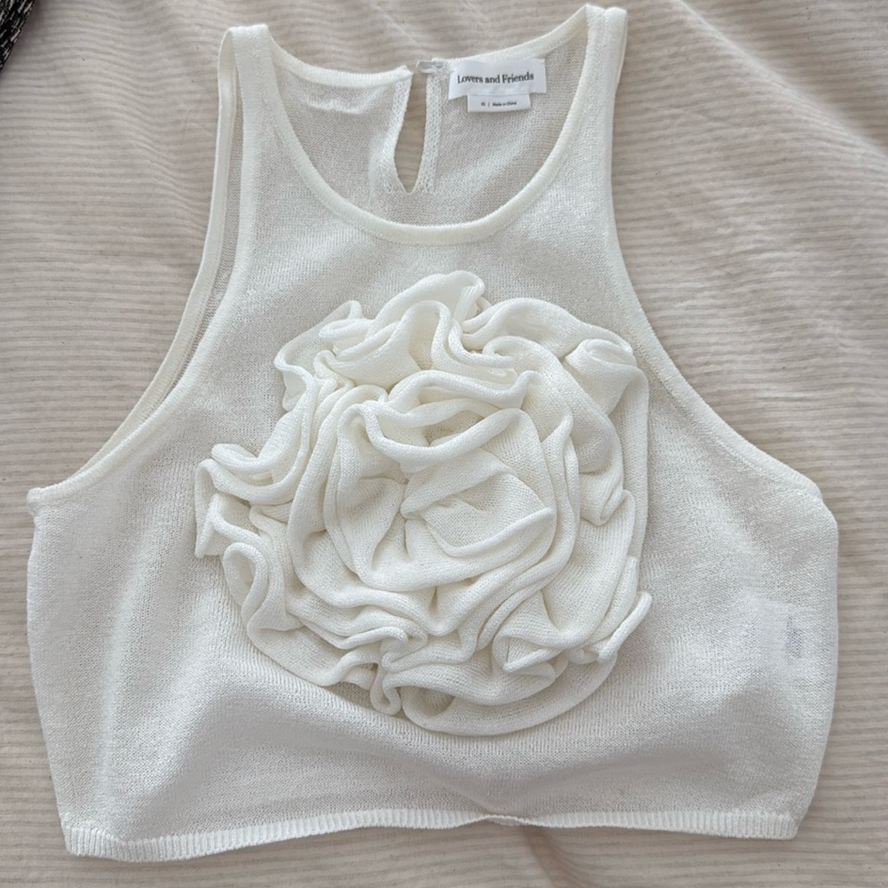 XS sheer and cropped Lovers and Friends top